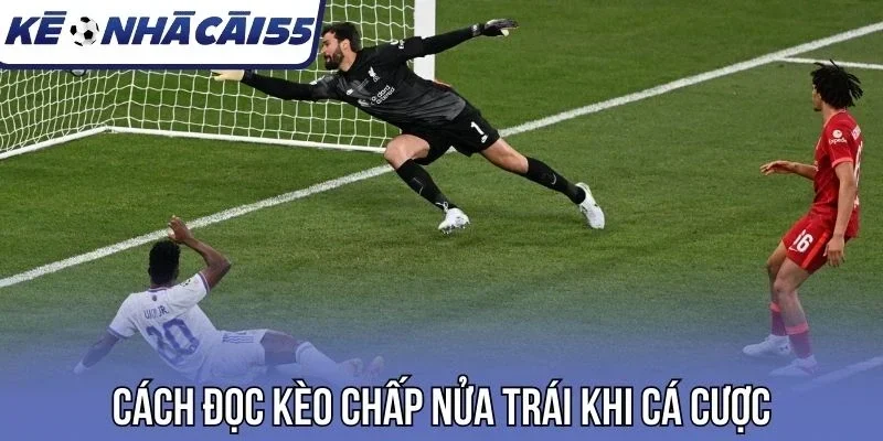 Cách đọc kèo chấp nửa trái khi cá cược