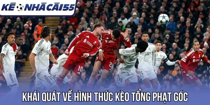 Khái quát về hình thức kèo tổng phạt góc