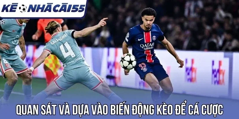 Quan sát và dựa vào biến động kèo để cá cược