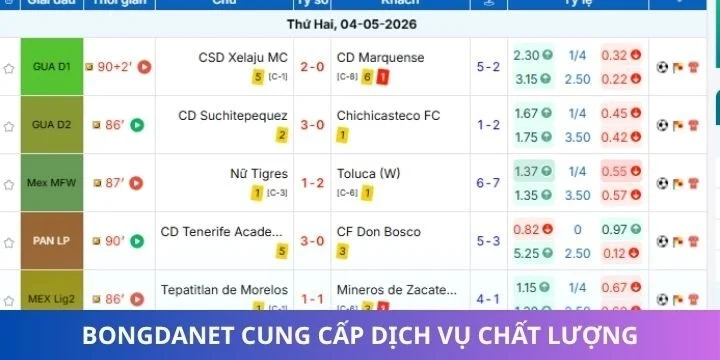 Tận hưởng từng tính năng chất lượng của bongdanet